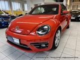 Volkswagen Beetle Cabriolet 1.4 Aut. - nur 37 tkm -  KAM.. - Volkswagen Beetle in Bonn