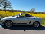 Andere MG MGF Liebhaberfahrzeug mit vielen Extras... - Andere aus 2001
