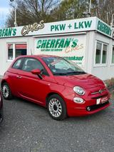 Fiat 500 Cult+HYBRID+NAVI+KLIMA+PDC++ - Fiat 500 Cult mit Hybrid-Antrieb (Benzin/Elektro)