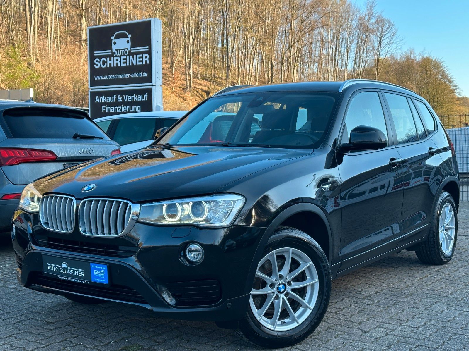 BMW X3 sDrive Business Advantage SHZ AHK PDC TEMPO