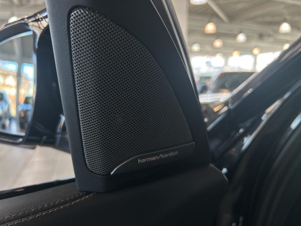BMW X5 M60i Harman Standhzg 21"