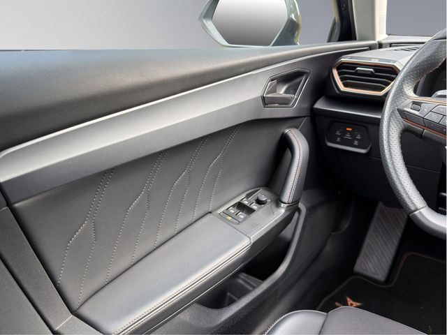 Leon 2.0 TDI DPF DSG