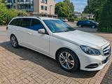 Mercedes-Benz Mercedes E-Klasse Mopf 250cdi 4matic Sthz - Mercedes-Benz 250: Weiß