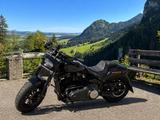 Harley-Davidson FAT BOB 114 JEKILL&HYDE 1. Hand FXFBS