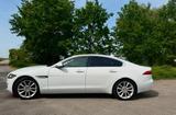 Jaguar XF Limousine  Top Zustand  Scheck... - Jaguar XF in Hannover