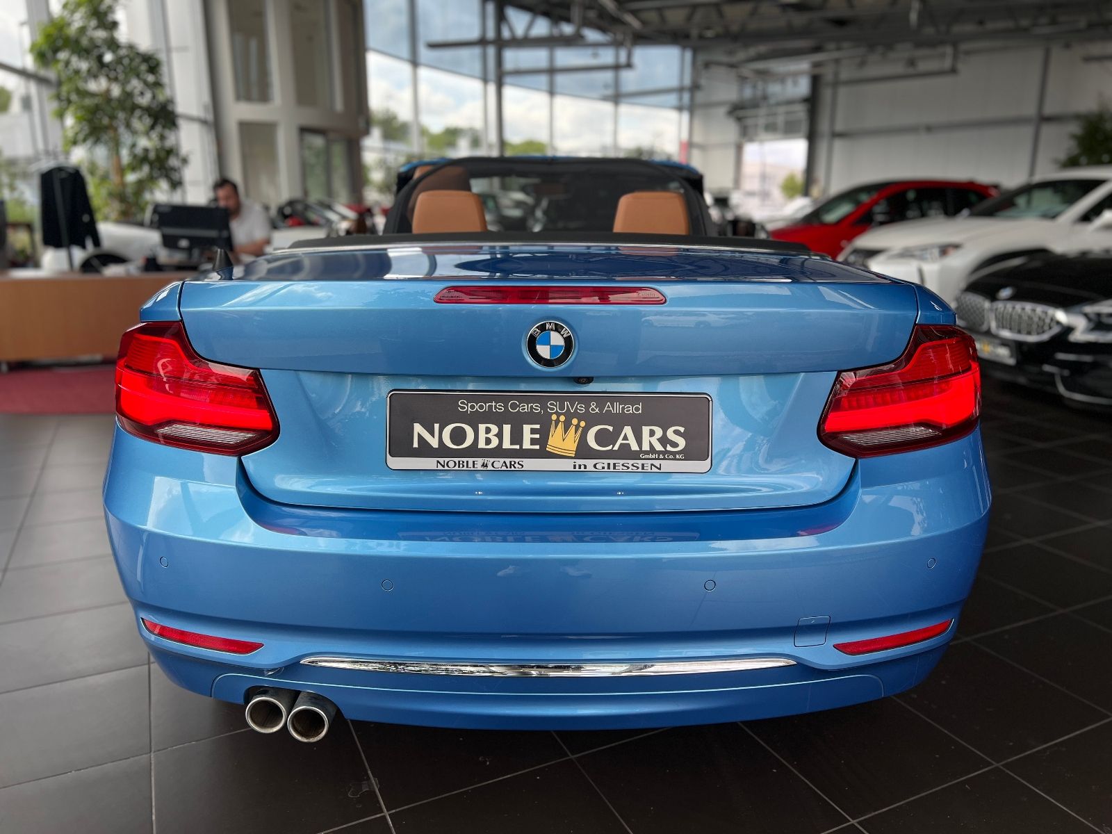 Fahrzeugabbildung BMW 220i Cabrio Luxury Line NAV LED PDC