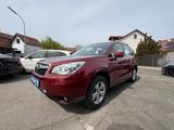 Subaru Forester Comfort 4X4 Klima Kamera Ahk Xenon - gebrauchte Subaru Forester aus dem Jahr 2014