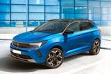 Andere Opel Grandland 15diesel Ecotec aut. In arrivo202 - Andere mit Diesel-Antrieb: Blau