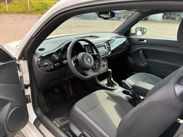 Volkswagen Beetle - 8