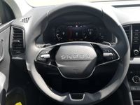 Skoda Karoq - Vorschau Bild 9