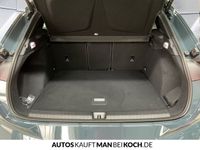 Cupra Terramar - Vorschau Bild 17