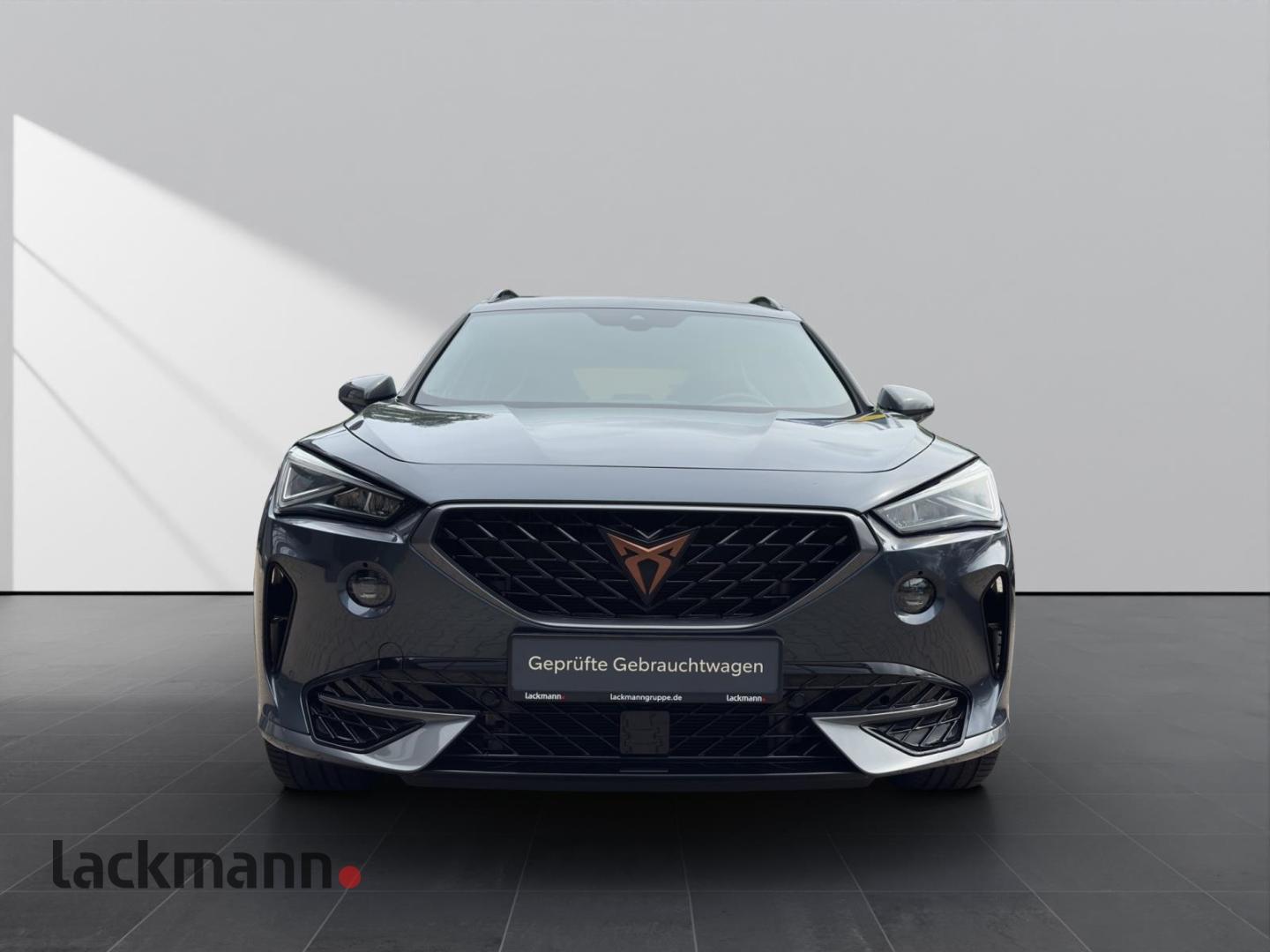 Cupra Formentor 2.0 VZ 4Drive *Navi*Pano*Leder*Voll-LE