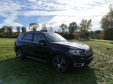 BMW X5 xDrive30d - - BMW X5 in Bielefeld
