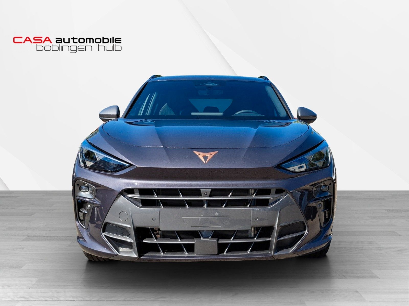 Terramar 1.5 e-Hybrid 200 kW VZ AHK HD-Matrix