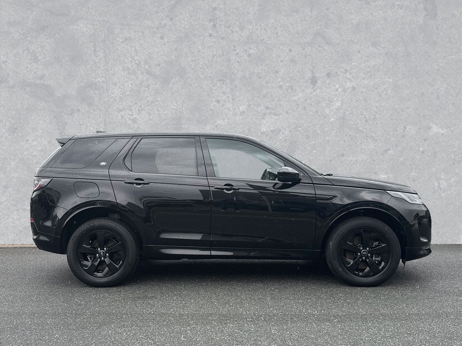 Fahrzeugabbildung Land Rover Discovery Sport D200 R-Dynamic SE