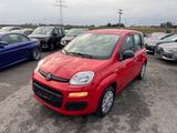 Fiat Panda Easy 1.2 69 PS 1.Ha Euro6d Klima Top.Zusta - Fiat Panda: Rot