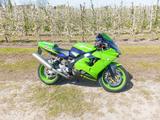 Kawasaki  ZX-9R Ninja Bj.2000  - Kawasaki ZX-9R Ninja