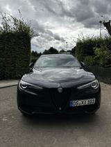 Alfa Romeo Stelvio 2.0 Turbo 16V 206kW Veloce AT8-Q4 Veloce - Alfa Romeo Stelvio: Veloce