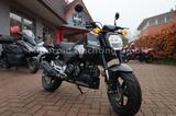 Honda MSX 125 ! GROM ! ABS ! LED ! WENIG KILOMETER ! - Honda MSX125 Grom