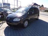 Volkswagen Touran Touran 1.6 FSI Trendline, Klima, HU-AU NE - Volkswagen Touran aus 2004