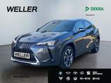 Lexus UX 250h Style Edition *Bi-LED*ACC*CAM*SHZ*CarPla