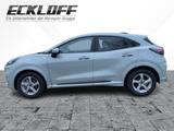 Ford Puma 1.0 EcoBoost ST-Linie - graue Ford Puma