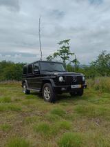 Mercedes-Benz G 500 V8, AHK, TÜV und Inspektion neu, kein Rost - Mercedes-Benz G-Class mit Benzin-Antrieb