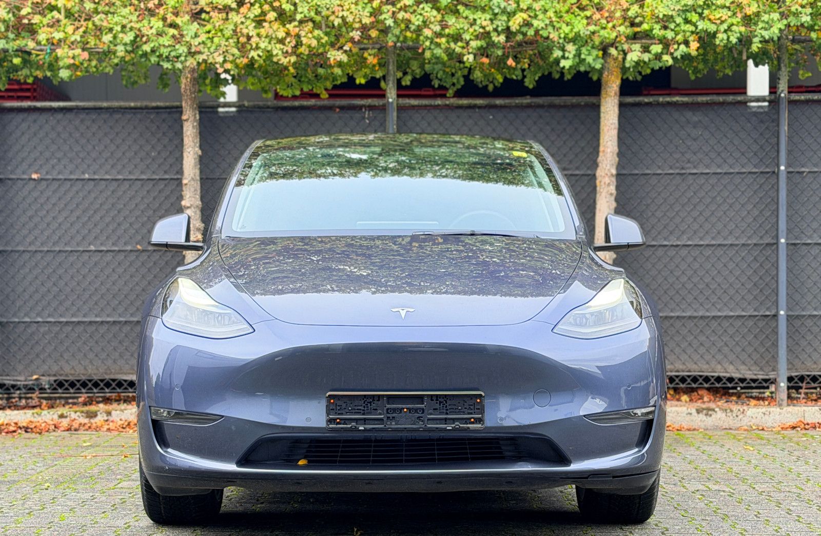 Tesla Model Y Long Range Dual AWD imagem 2