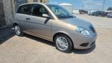 Lancia Ypsilon 1.2 Oro Giallo - Lancia Ypsilon Oro mit Benzin-Antrieb