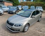 Skoda Octavia 2.0 TDI Aut.Laurin & Klement Voll Euro 6 - Skoda: Klement Laurin