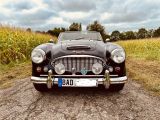 Austin Healey 3000 Mark 3 Bj8 Overdrive  - aus 1965: Cabrio