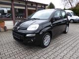 Fiat Panda Easy Klima/Kamera/Winterräder/HU neu - gebrauchte Fiat Panda aus dem Jahr 2016