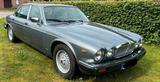 Jaguar XJ V12, Serie 3, Baujahr 1986 - Jaguar XJ: V12