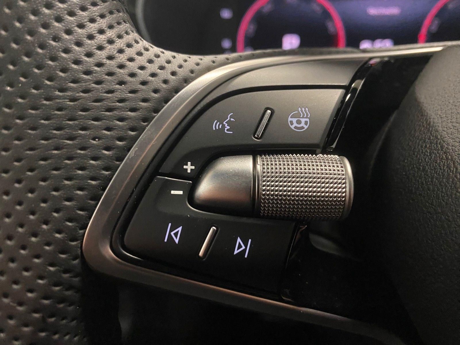 Fahrzeugabbildung SKODA Fabia 1.0 TSI DSG Monte Carlo+KAMERA+Android+ALU