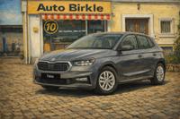 Skoda Fabia 130Jahre DAB AndroidAuto Apple CarPlay ALU