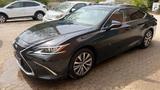 Lexus ES 300 300h Business Line Automatik Business... - Lexus ES 300 aus 2020