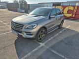 Mercedes-Benz Mercedes Benz ML 250 4 matik - : Mercedes Ml