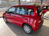Fiat Panda Panda Hybrid 1.0 - Fiat Jahreswagen