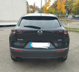 Mazda CX-30 2.0 e-SKYACTIV-G M-Hybrid 150 Selectio... - Mazda CX-30 in Stuttgart