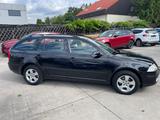 Skoda Octavia Combi 1,6 Edition/Klima/Sitz-Heiz/Tempom - Skoda Octavia aus 2008: Combi