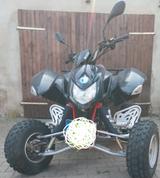 Access Motor Triton 250 - QUAD VON 126 BIS 250 CCM