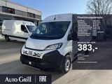 Fiat Ducato 35 L2H2 AHK Navi RüKa CarPlay Allwetter - Fiat Ducato Neuwagen