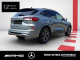 Ford Kuga 2.0 EcoBlue Hybrid ST-LINE PANO WINTER SHZ - Ford Kuga mit Panoramadach