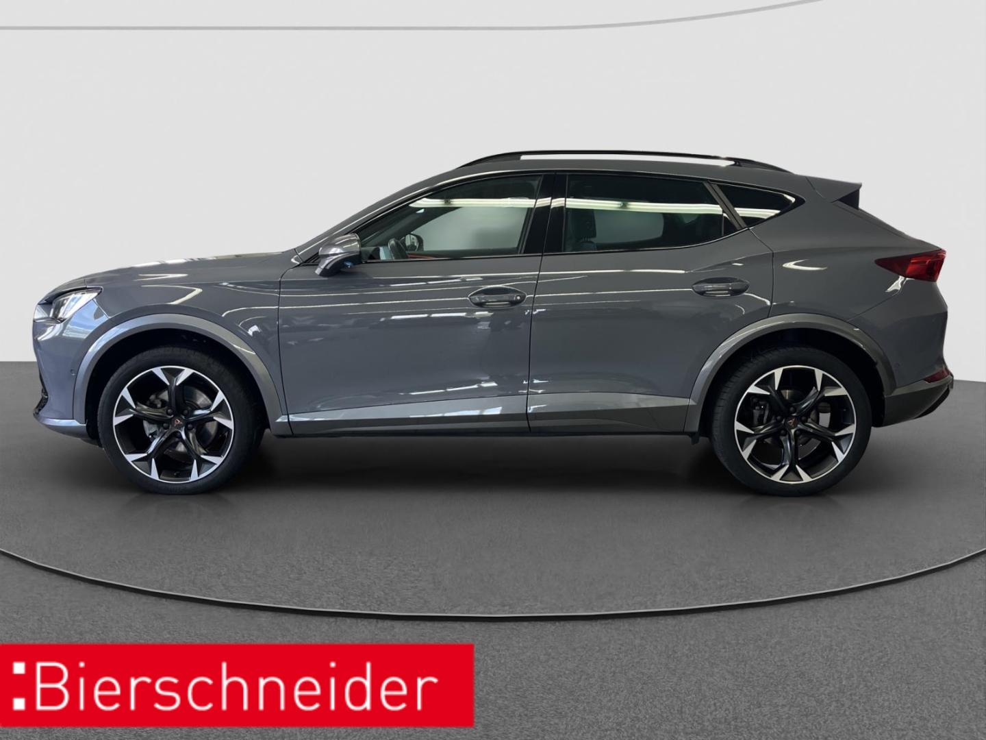 Cupra Formentor 2.0 TSI DSG 4Dr AHK PANO NAVI REAR VIE