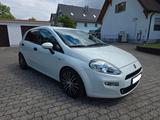 Fiat Punto Pop * 8xALU * KLIMA * TÜV 06/2026 * - Fiat Punto Gebrauchtwagen in München