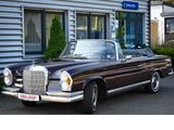 Mercedes-Benz 250 SE Werkscabriolet m.Zertifikat - restauriert - Mercedes-Benz 250: Cabrio