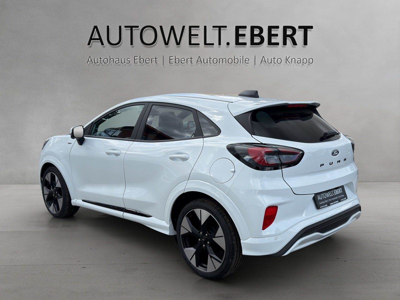 Ford Puma ST-Line X LED Matrix 19Zoll Winter Paket imagem 3