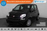 Fiat Panda 1.0 Mild-Hybrid Pandina Icon *PDC*LKA*DAB* - Fiat Panda Neuwagen
