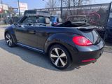 Volkswagen Beetle 2,0 TDI TÜV&Service+Xenon+Leder+17 Zoll - Volkswagen Beetle in Hamburg