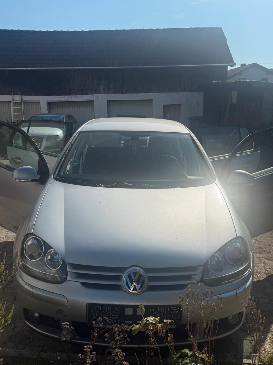 Volkswagen Golf 2004 — вигляд ззаду
